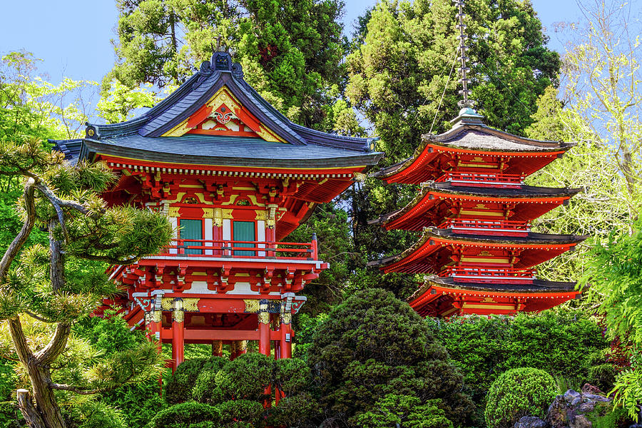 Japanese Garden #1 Photograph by Randy Bradley