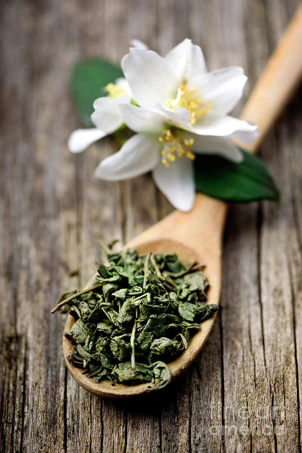 Jasmine and green tea #1 Photograph by Jelena Jovanovic