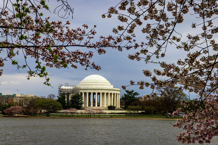Jefferson Memorial #1 Photograph by Jim Gillen