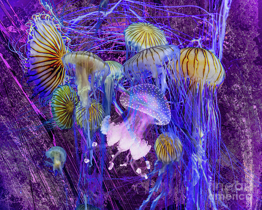 Jellyfish #2 Digital Art by Anthony Ellis