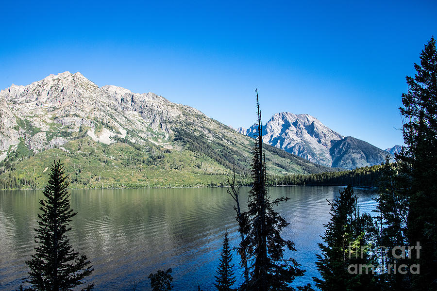 Jenny Lake Grand Teton National Park #1 Digital Art by Tammy Keyes