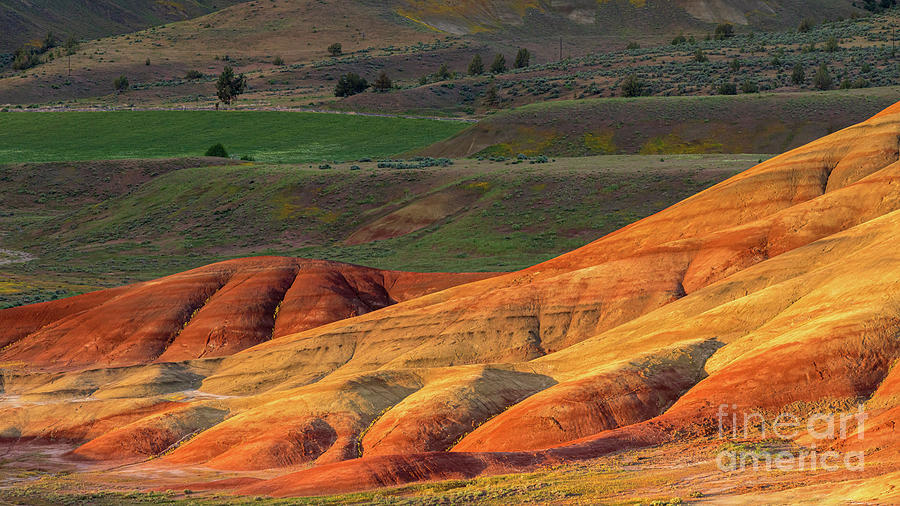 John Day Fossil Beds National Monument, Oregon #1 Photograph by Henk Meijer Photography