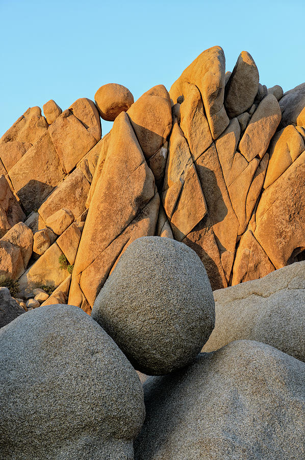 Jumbo Rocks Photograph