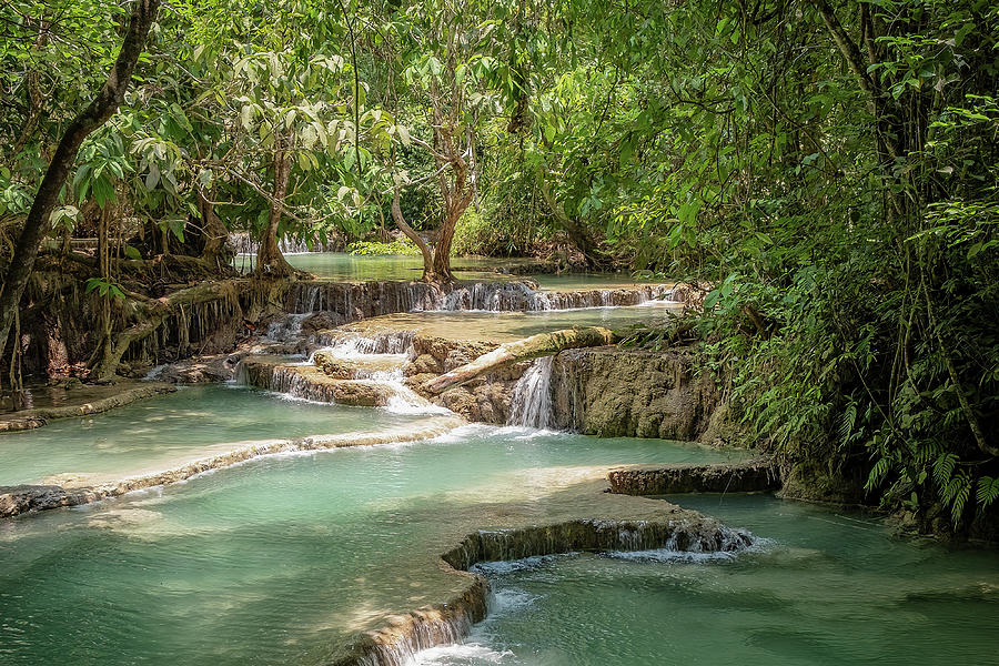 Jungle Photograph - Jungles of Laos #1 by Marla Brown