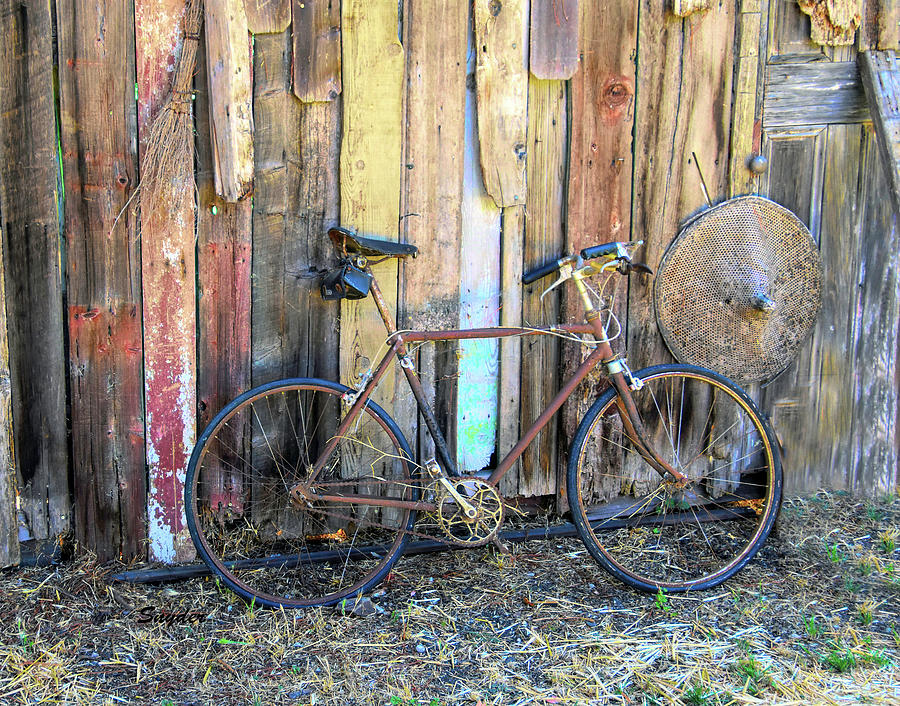 Junk Yard Bicycle In Old Edna Photograph
