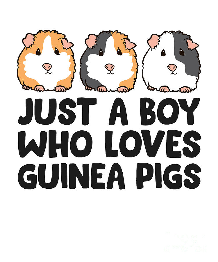 Just a Boy Who Loves Guinea Pigs Tapestry - Textile by EQ Designs ...