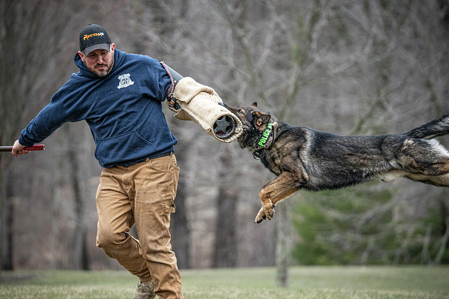 K9 Ernie - Sterling Heights PD - Danny Cusenza Photograph by Lifework ...