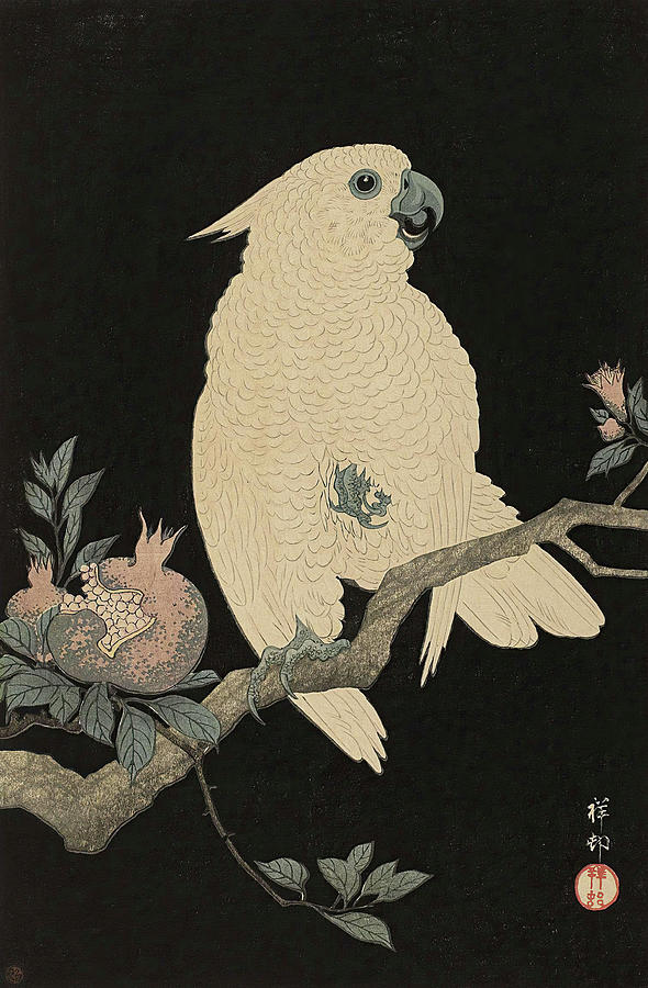 Kaketoe Met Granaatappel Painting By Ohara Koson Fine Art America