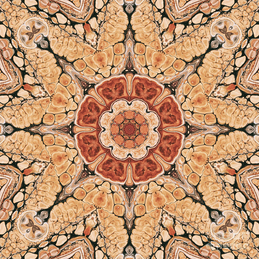 Kaleidoscopic Mandala Digital Art by Phil Perkins