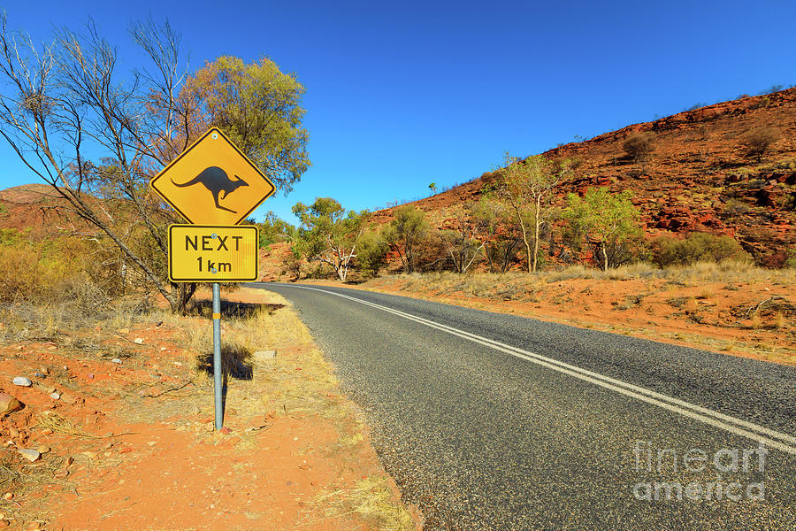 Kangaroo sign in Red Centre Australia #1 Photograph by Benny Marty