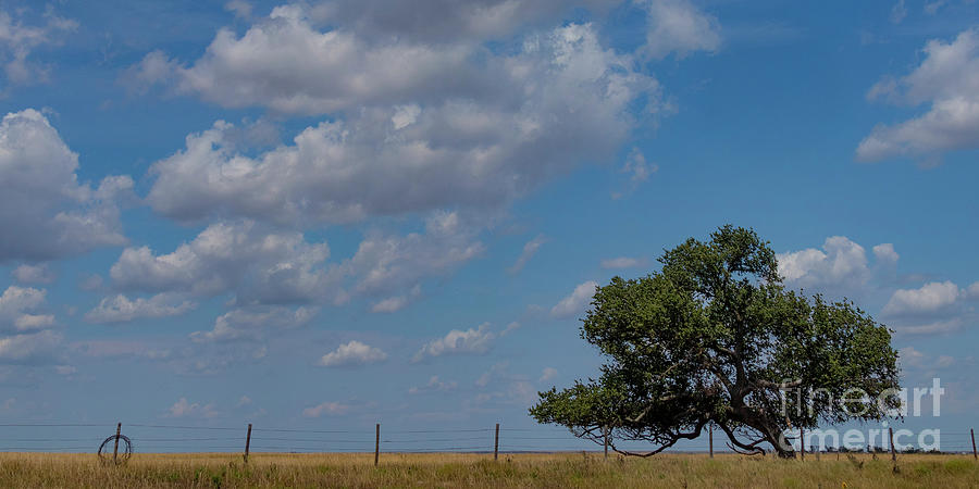 Kansas sky #1 Photograph by Garry McMichael
