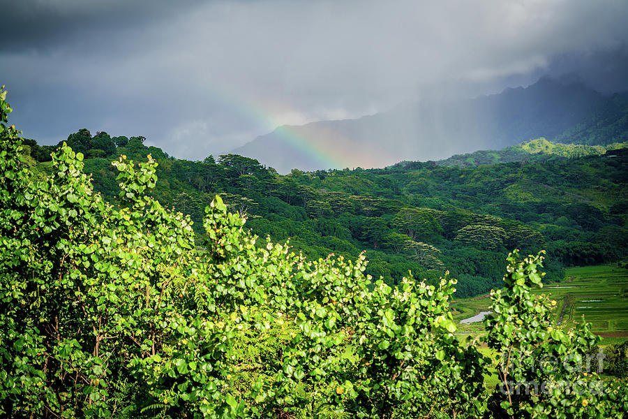 Kauai Hawaii Rainbow Photograph By The Photourist - Fine Art America