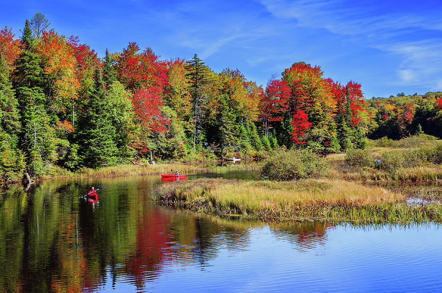 Kayaking the Moose River #1 Photograph by David Patterson