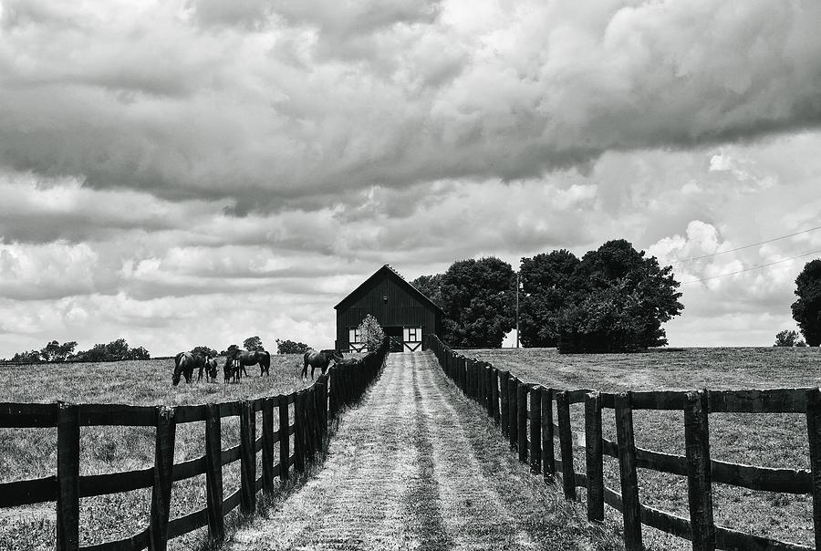 Horse Photograph - Kentucky Horse Country #1 by Mountain Dreams