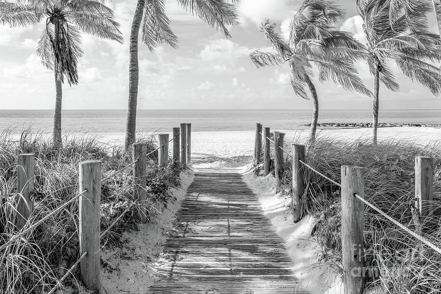 Key West Smathers Beach Entrance Black and White Photo #1 Photograph by Paul Velgos