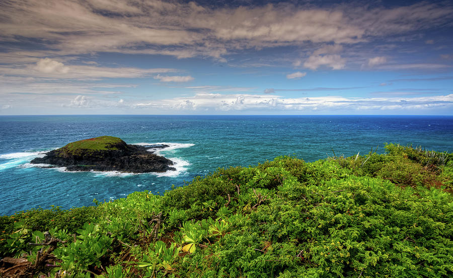 kilauea-point-photograph-by-loren-r-miller-fine-art-america