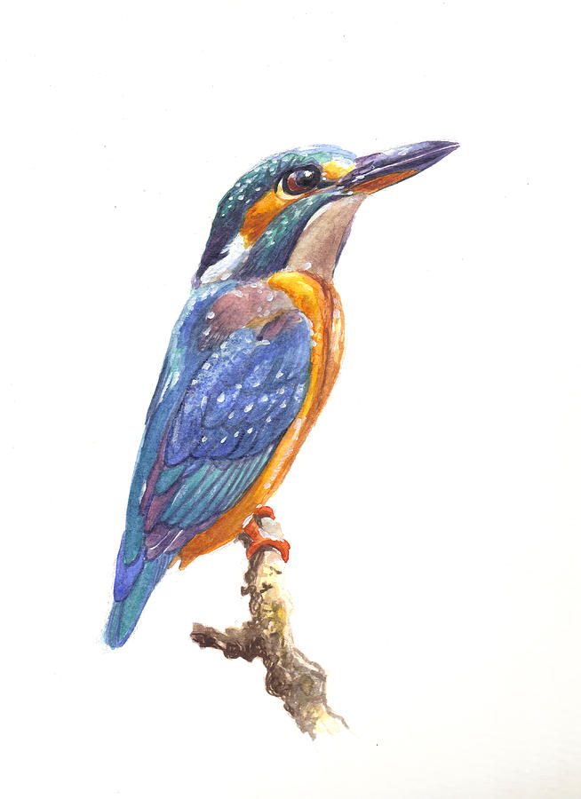Kingfisher  #1 Painting by Arie Van der Wijst