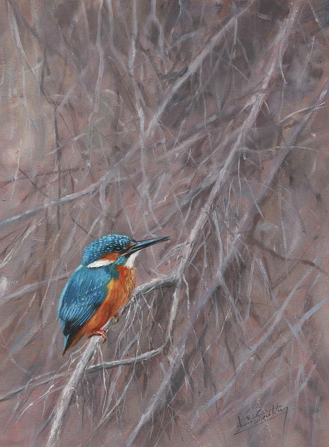 Kingfisher #1 Painting by David Stribbling