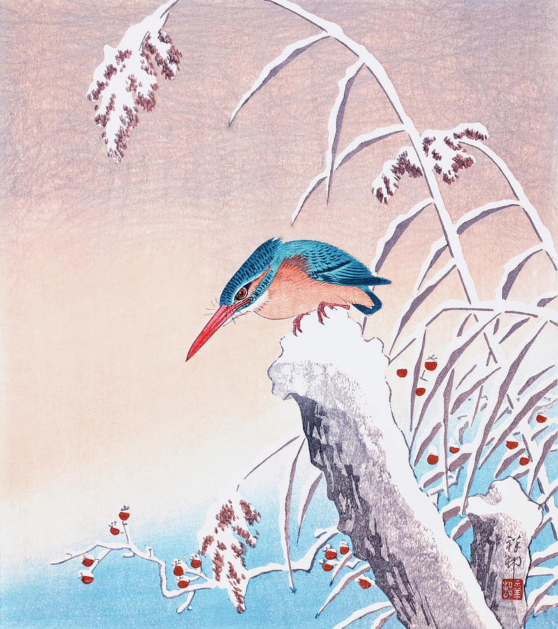Kingfisher In The Snow By Ohara Koson Drawing