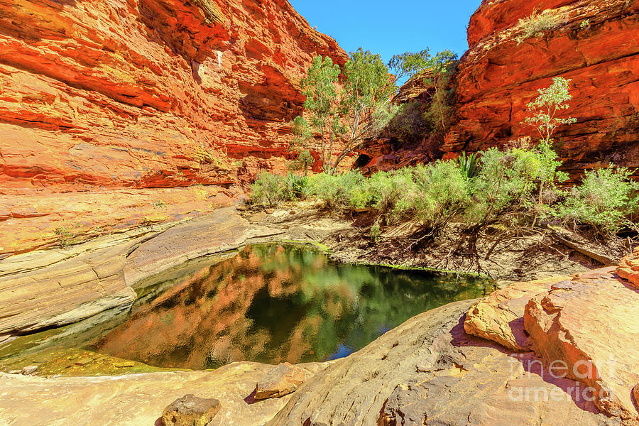 Kings Canyon waterhole Australia #1 Photograph by Benny Marty