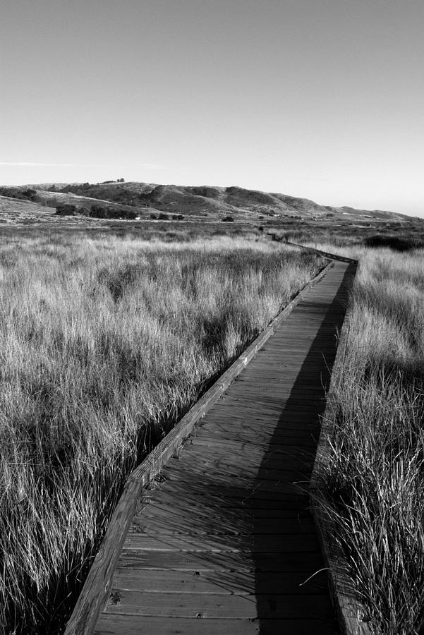 Kortum Trail Boardwalk #1 Photograph by Mark Norman