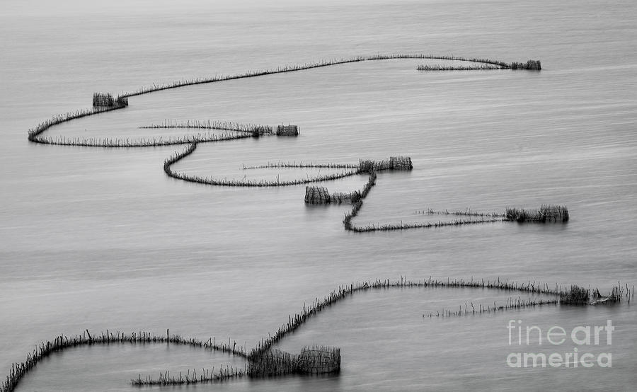 Black And White Photograph - Kosi Bay fishing traps #2 by Tony Camacho