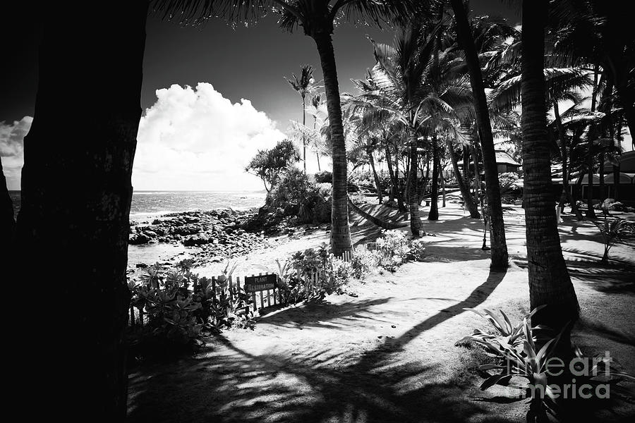 Kuau Beach Paia Maui Hawaii #1 Photograph by Sharon Mau