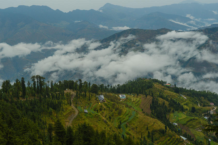 Kufri, Himachal Pradesh #1 Photograph by The Storygrapher