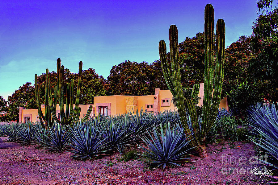 La Hacienda in Tequila #1 Digital Art by Marisol VB