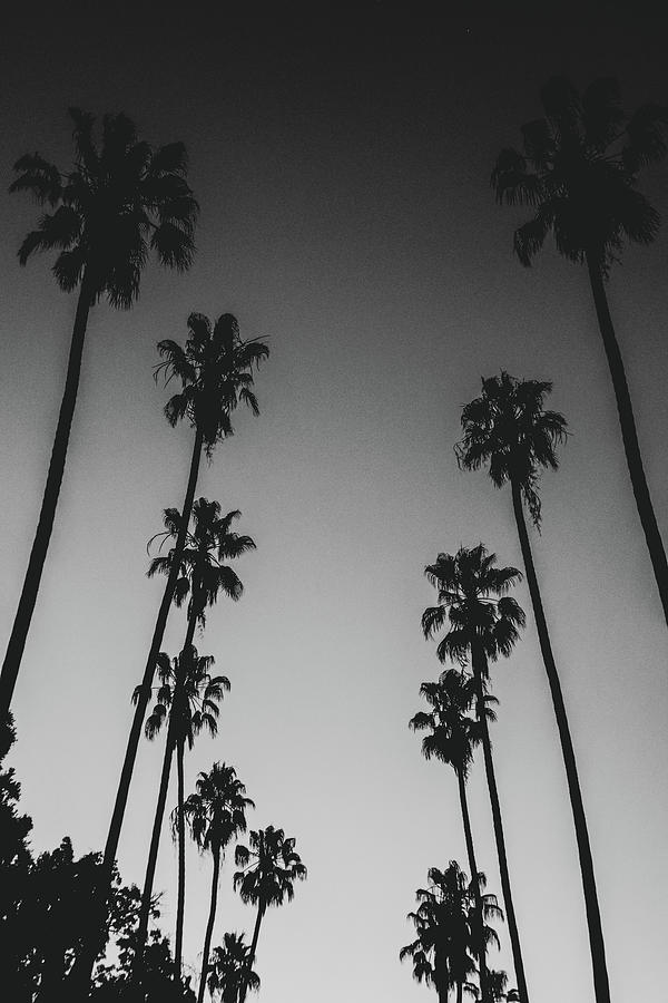 City Of Angels Photograph - LA #2 by Nick Holmby