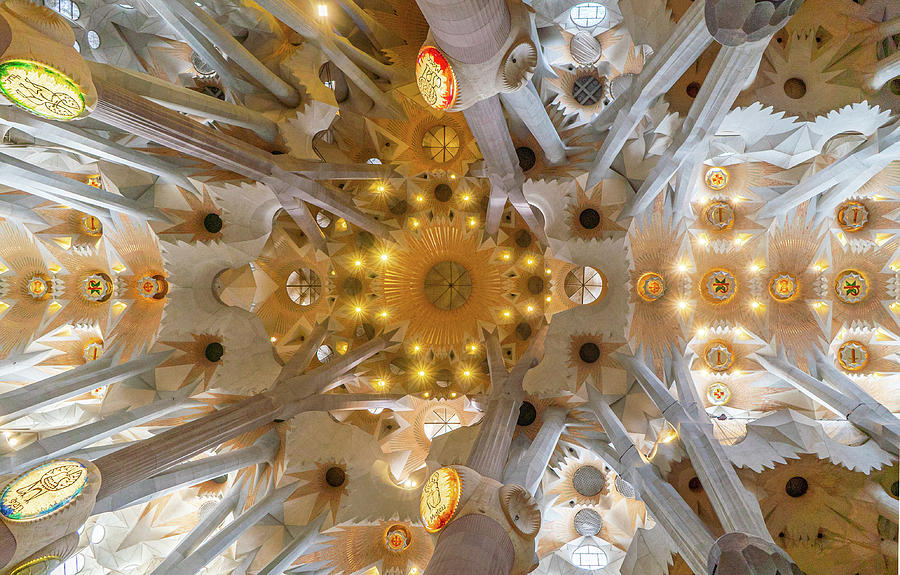 La Sagrada Familia Ceiling II Photograph by Jared Windler - Pixels