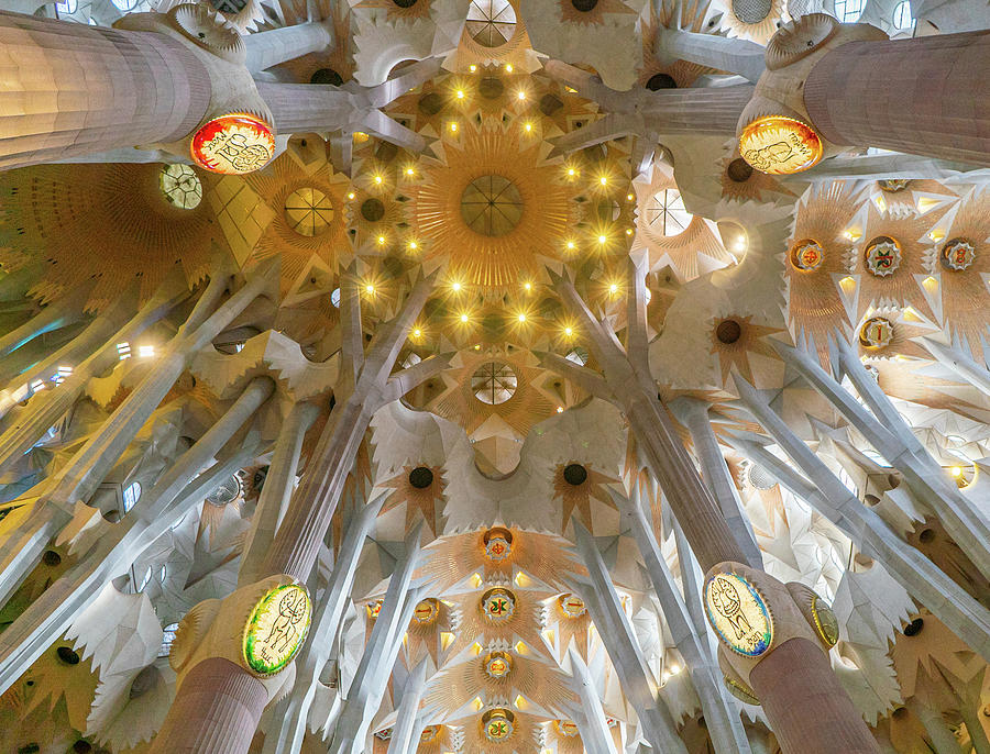 La Sagrada Familia Ceiling III Photograph by Jared Windler - Pixels