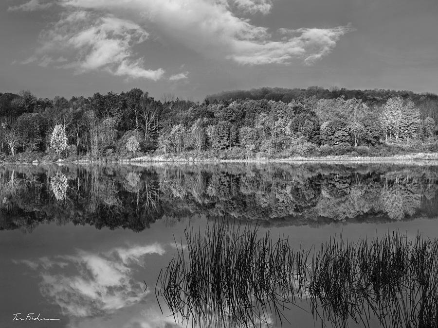 Lackawanna Lake at Bullhead Bay, Lackawann #1 Photograph by Tim Fitzharris