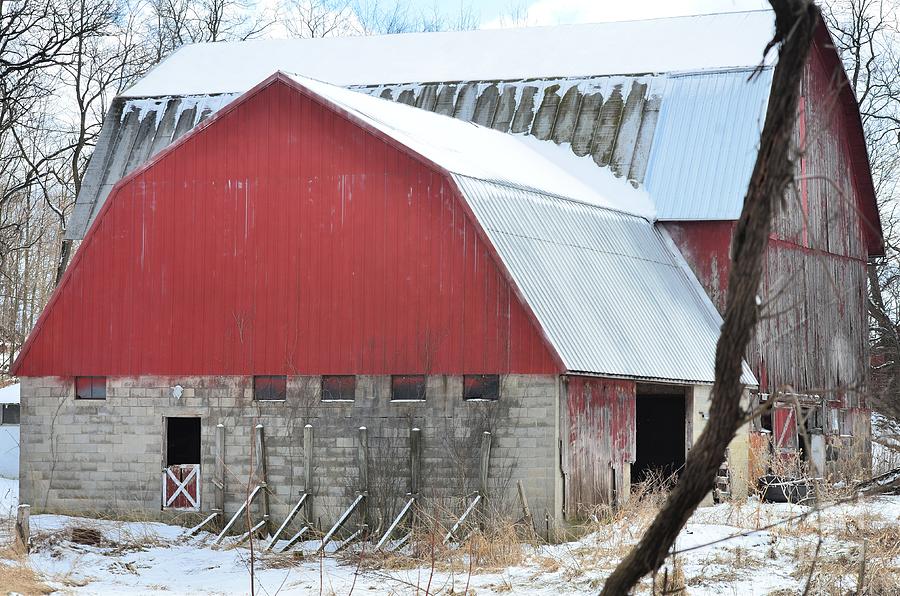 Lady In Red Photograph by Scott Ward - Fine Art America