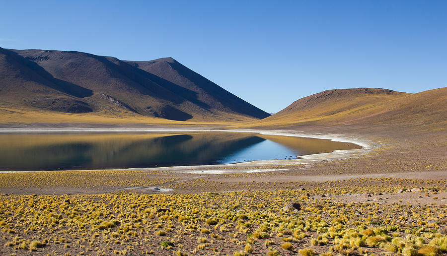 Laguna Miñiques near San Pedro de Atacama, Chile #1 Photograph by Maximilian Müller