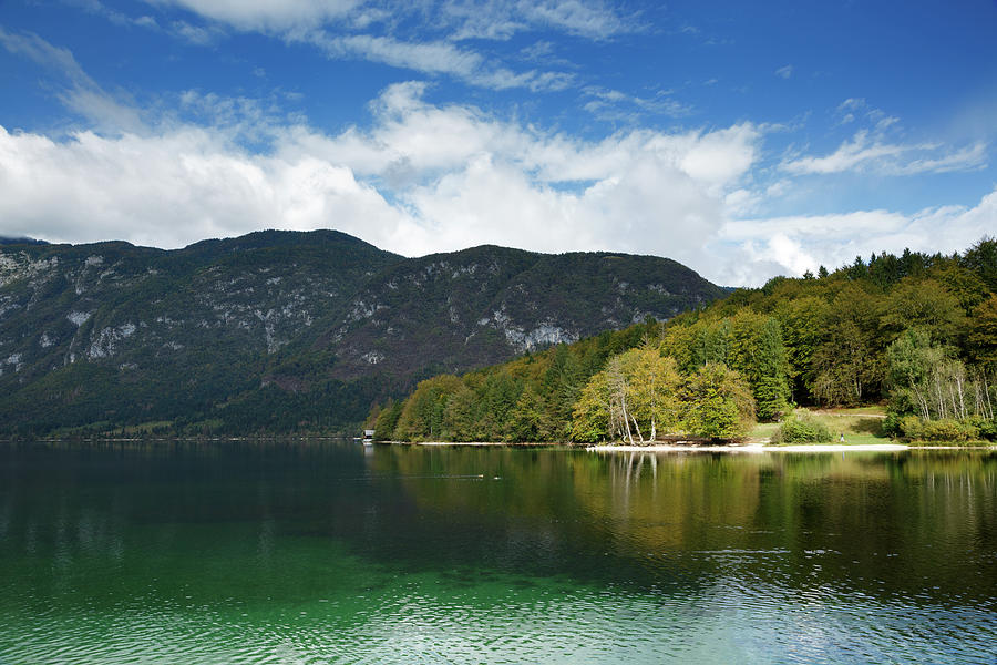Lake Bohinj in Slovenia #1 Photograph by Ian Middleton