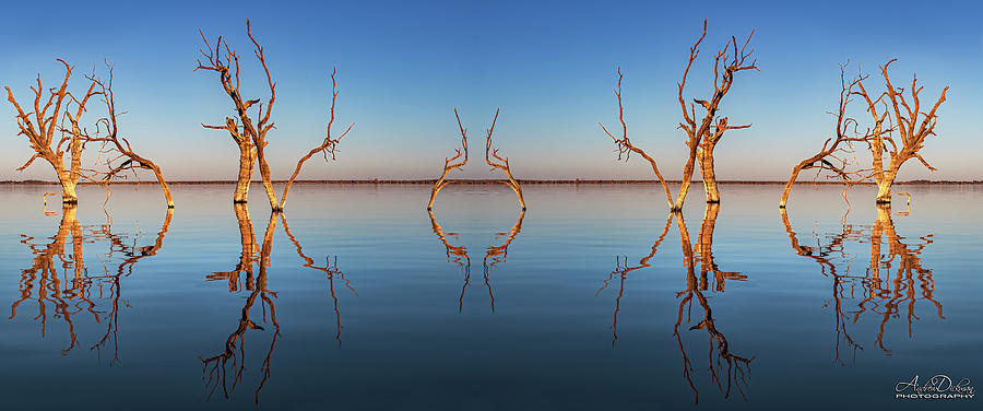 Lake Bonney #2 Photograph by Andrew Dickman