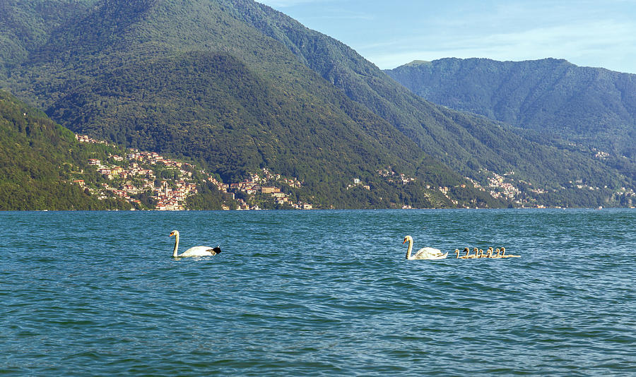 Lake Como #1 Photograph by Fabiano Di Paolo