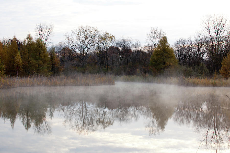 Lake Fog #1 Photograph by Rich S