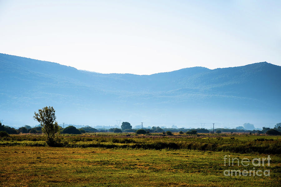 Landscape #1 Photograph by Adriana Sulugiuc - Fine Art America