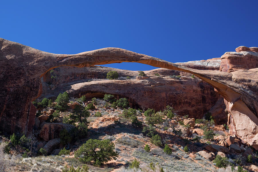 Landscape Arch in Arches National Park #1 Photograph by David L Moore