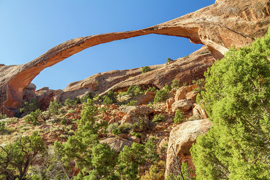 Landscape Arch In Arches National Park Photograph