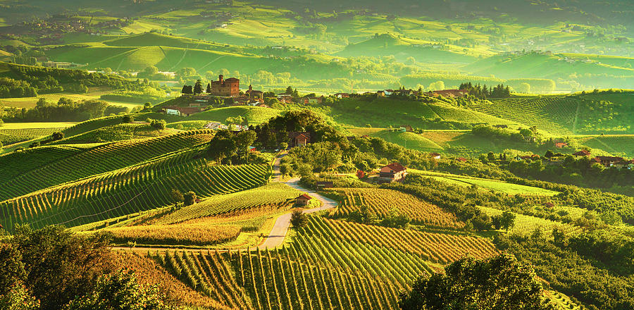 Grinzane Cavour vineyards Photograph by Stefano Orazzini