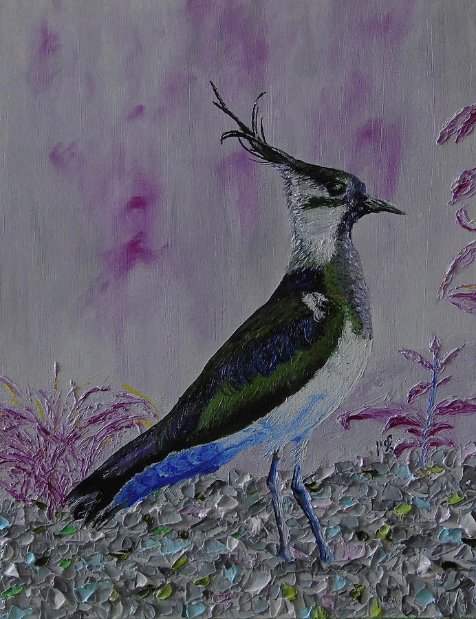 Lapwing Painting - Lapwing 2 by Maria Woithofer
