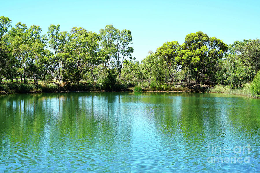 Nature Photograph - Large pond in natural Australian bush setting. #1 by Milleflore Images