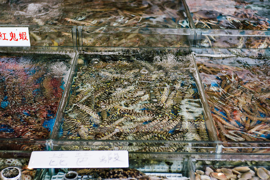 Large variety of fresh seafood on display in tanks #1 Photograph by D3sign