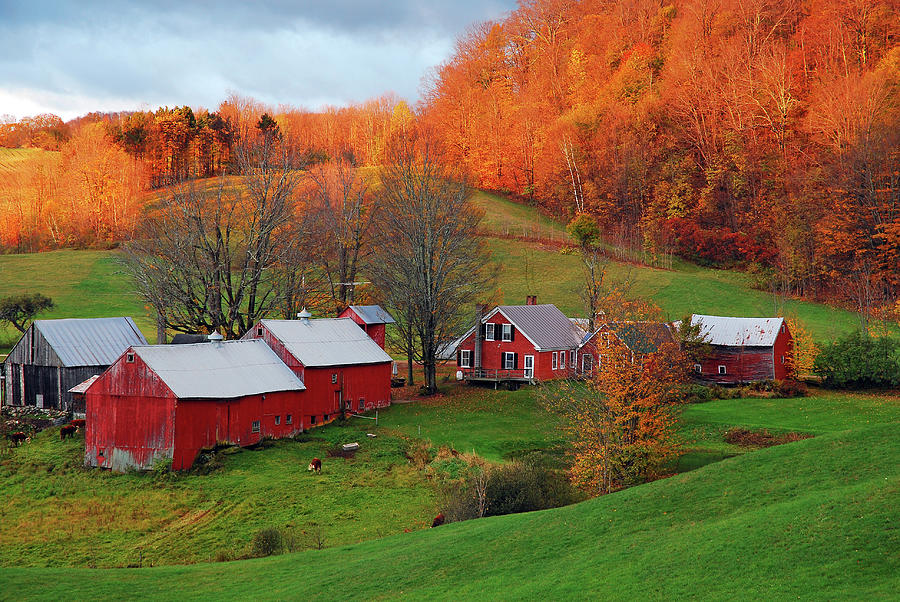 Late Autumn on the farm #1 Photograph by James Kirkikis