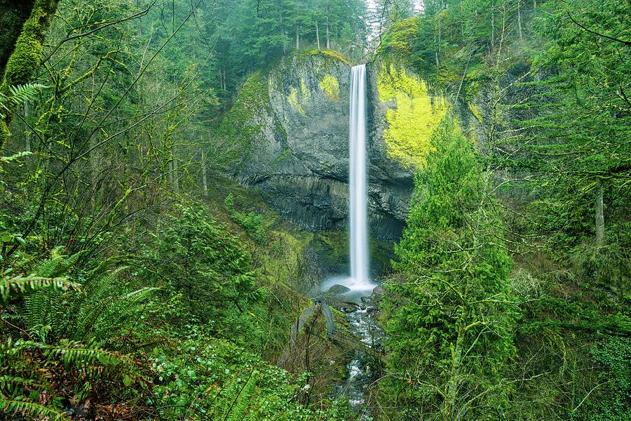 Latourell Falls, Oregon #1 Photograph by Aashish Vaidya