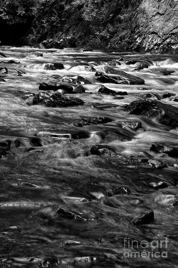 Laurel Falls 12 #1 Photograph by Phil Perkins