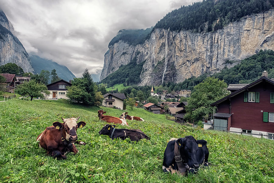 Fall Photograph - Lauterbrunnen Valley  #1 by Manjik Pictures